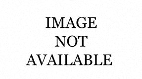 1830 R Street NW Studio-1 Bed Apartment for Rent - Photo Gallery 12